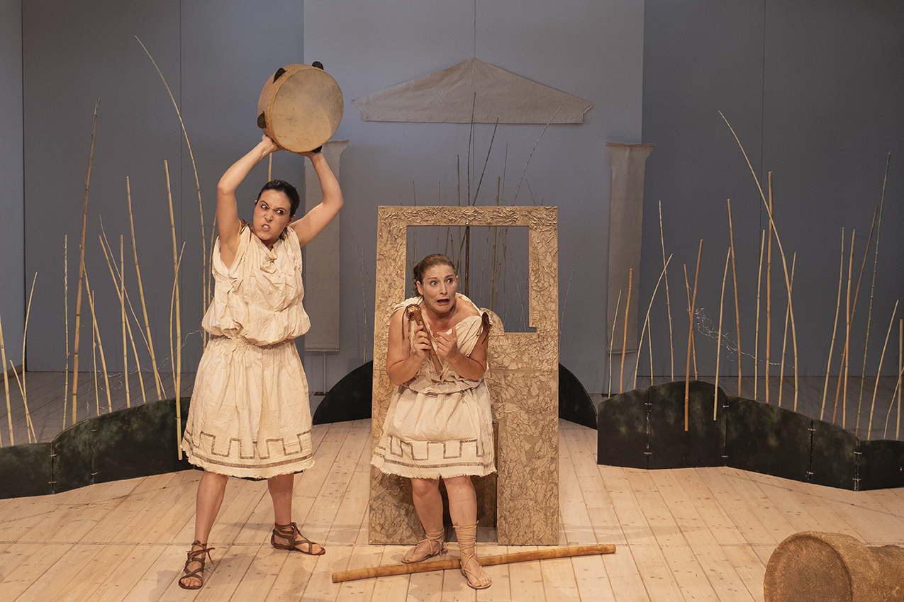Scena teatrale de La battaglia delle rane e dei topi